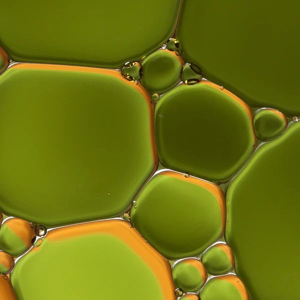 Hemp Oil
