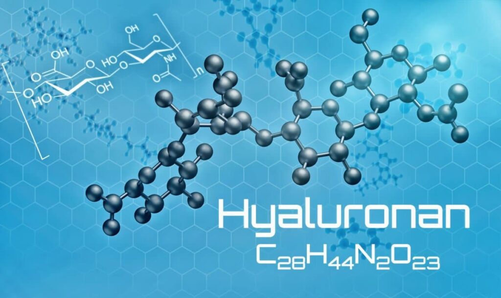 Avantages du hyaluronan, l'acide hyaluronique
